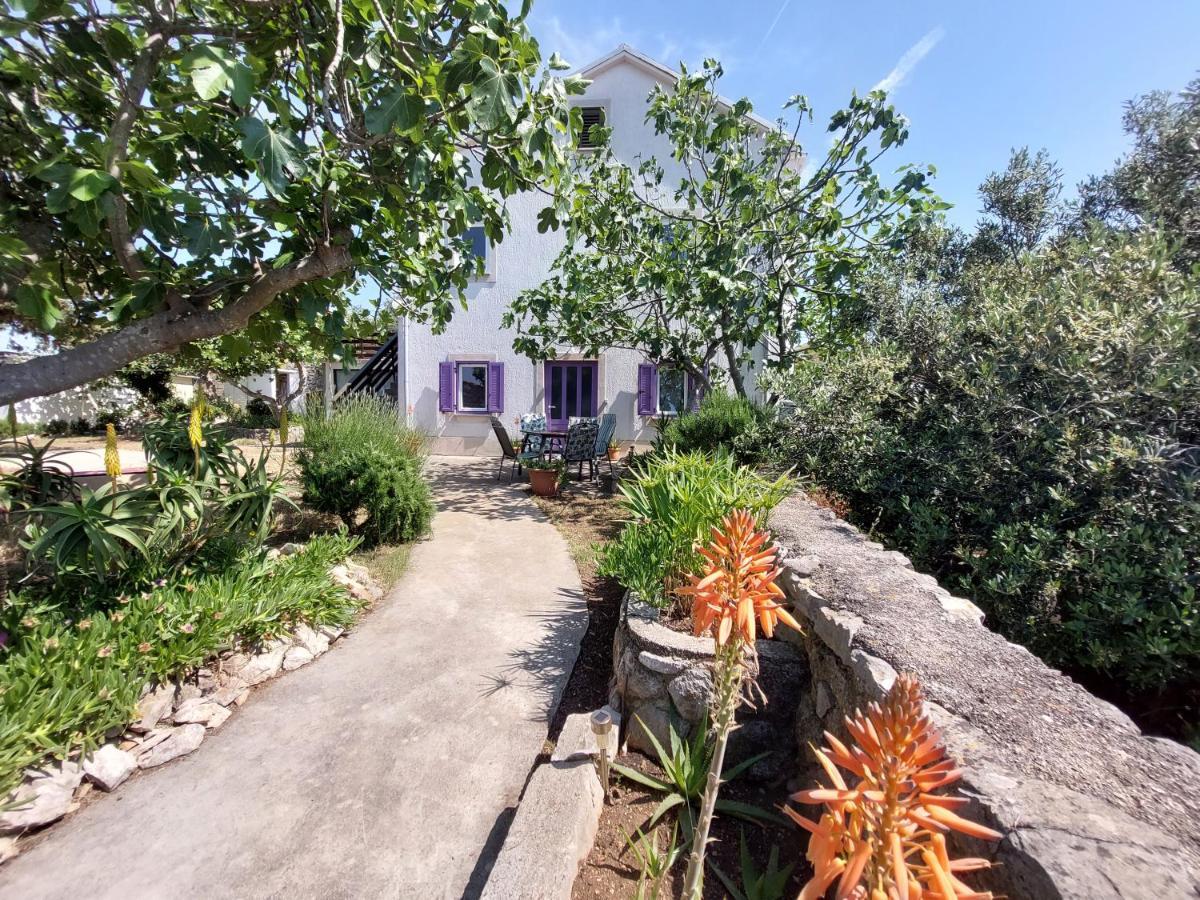Casa Di Castello Apartment Mali Lošinj Екстериор снимка